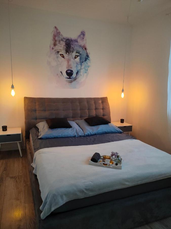 Apartamenty Olenka I - Szczytno Mazury Extérieur photo
